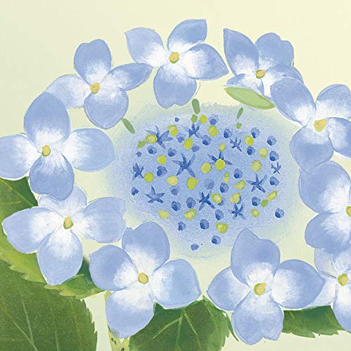 Amazon | 色紙絵 花鳥画【吉井蘭月】紫陽花 四季絵 k5-021b 四季千遷夏